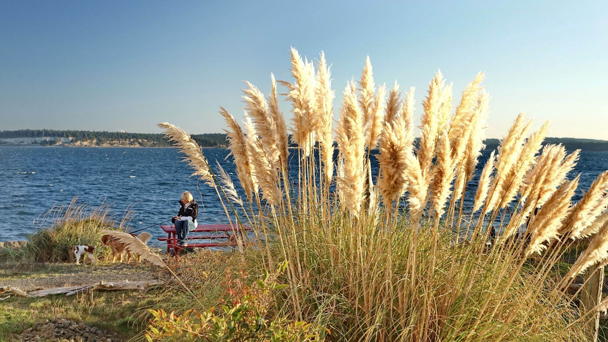 Tides Inn & Suites Port Townsend Zewnętrze zdjęcie